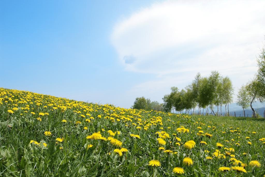 ホテル Gastwirtschaft Hold Monichwald エクステリア 写真
